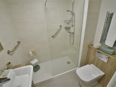 Picture 5